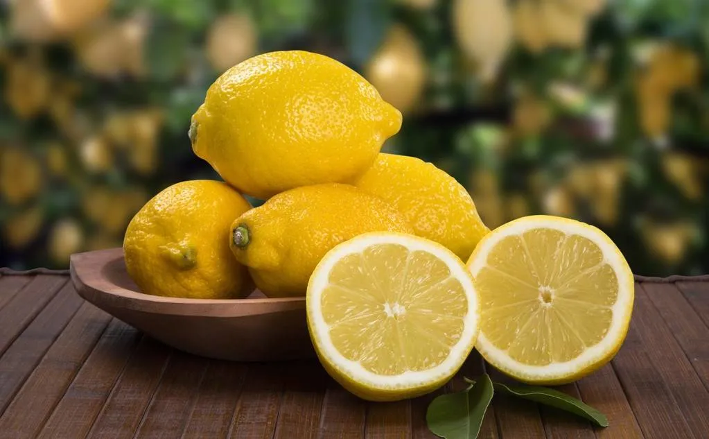 High Quality Fresh Lemon Limon Fresh for Drinks Fruit Agriculture Fresh Lemon