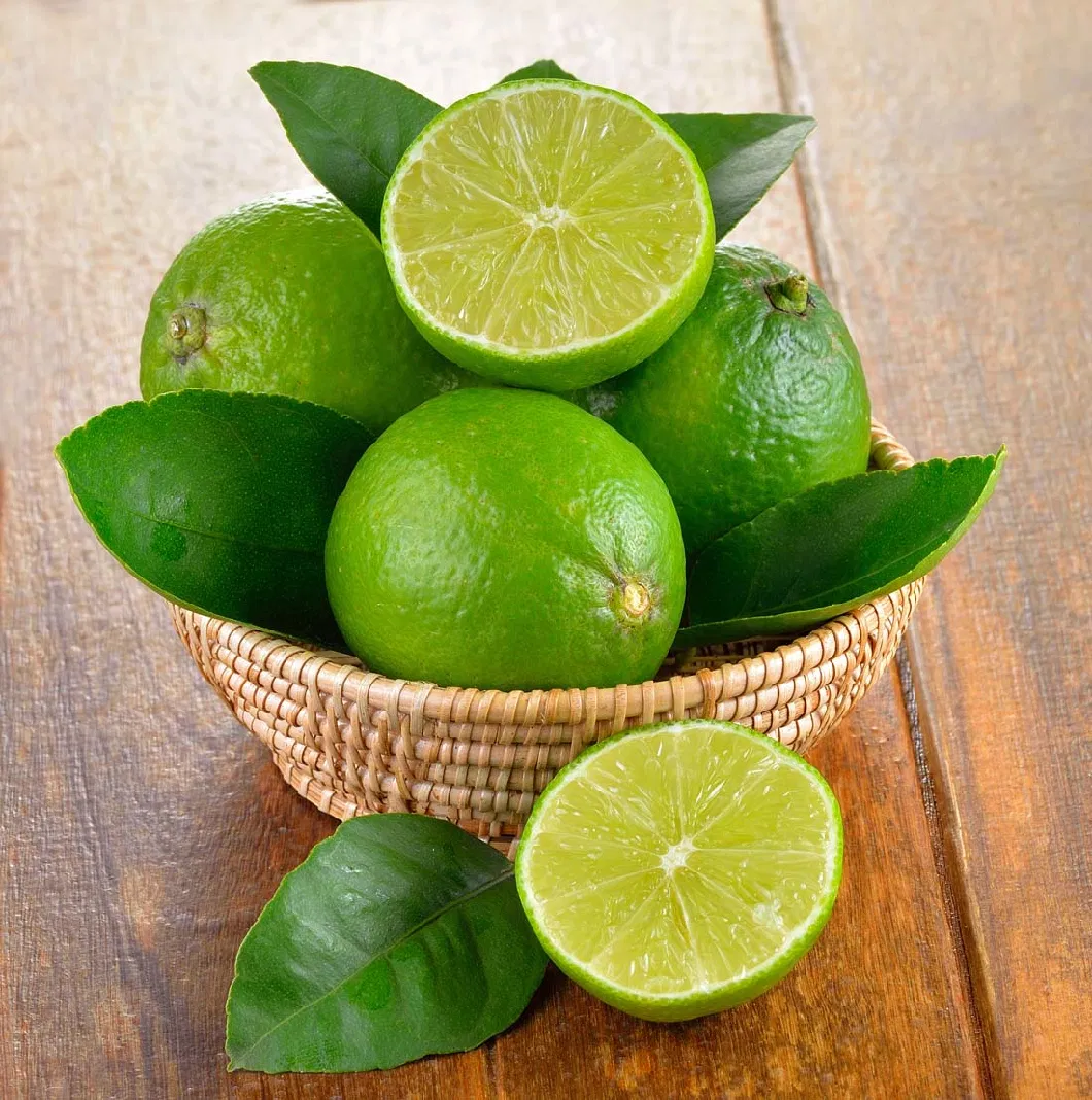 High Quality Fresh Lemon Limon Fresh for Drinks Fruit Agriculture Fresh Lemon